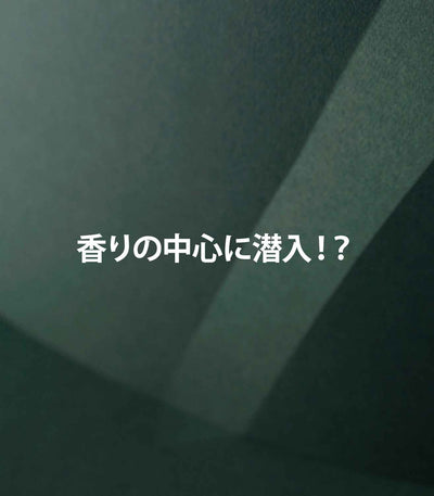 香りの中心に潜入：紹介