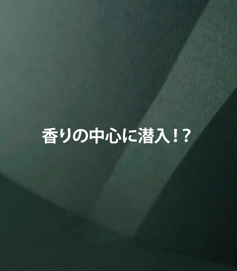 香りの中心に潜入：紹介