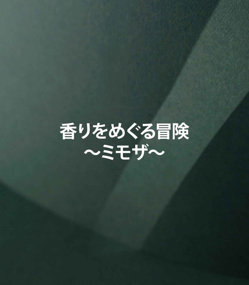 マリージャンヌの香水ブログ　ミモザの香りの特徴