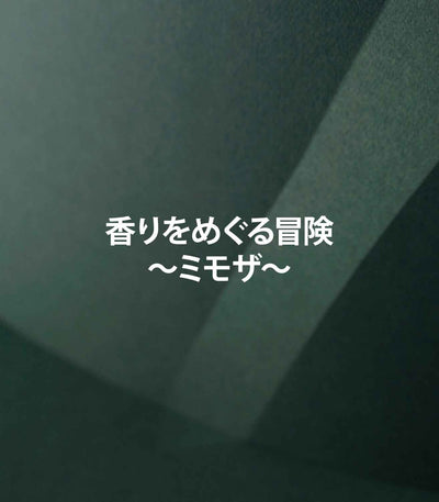 マリージャンヌの香水ブログ　ミモザの香りの特徴