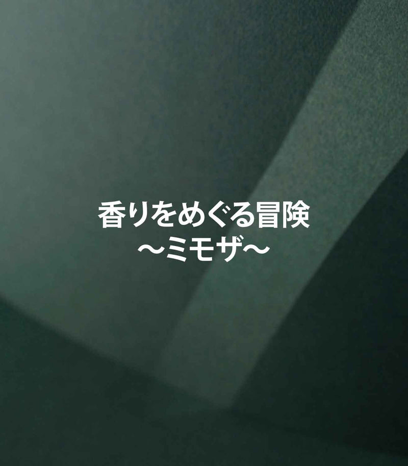 香りをめぐる冒険〜ミモザ編〜