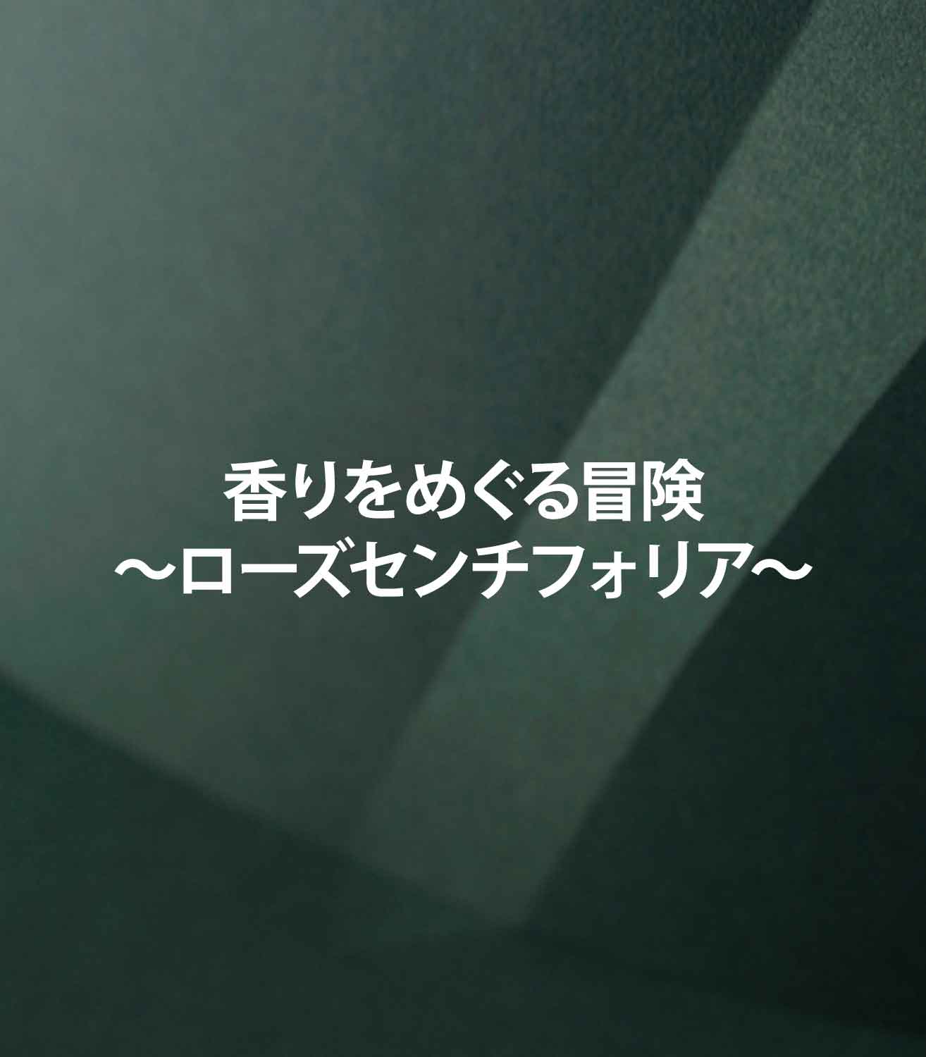 マリージャンヌの香水ブログ　ローズセンチフォリアの香りの特徴