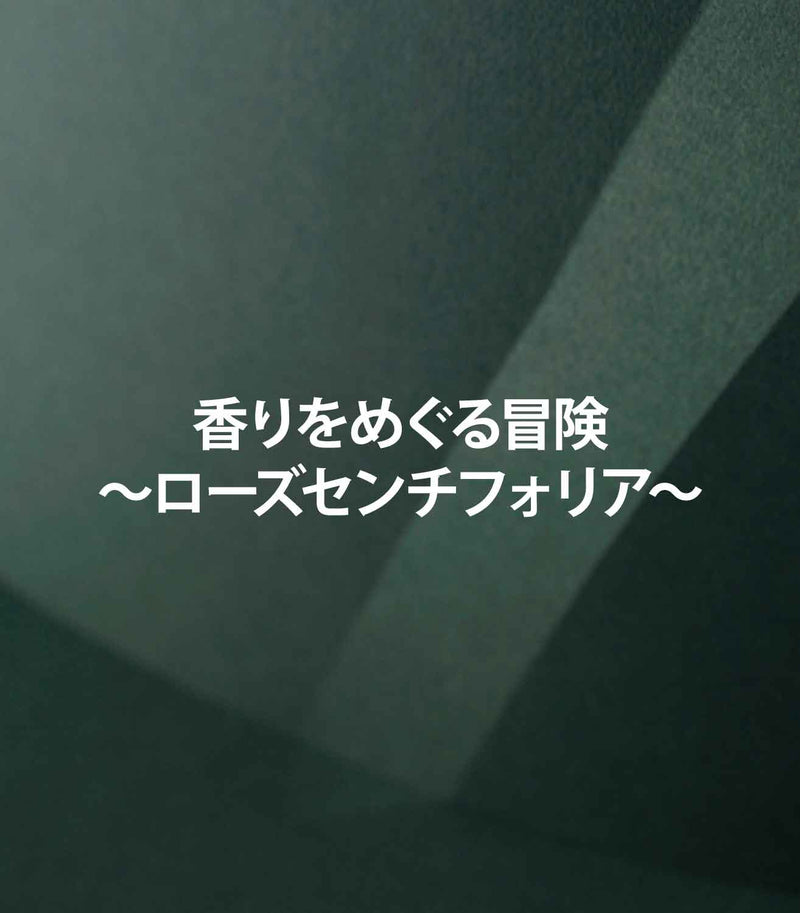 マリージャンヌの香水ブログ　ローズセンチフォリアの香りの特徴