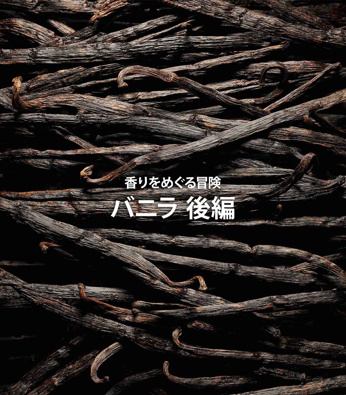 香りをめぐる冒険〜バニラ編〜（2/2）
