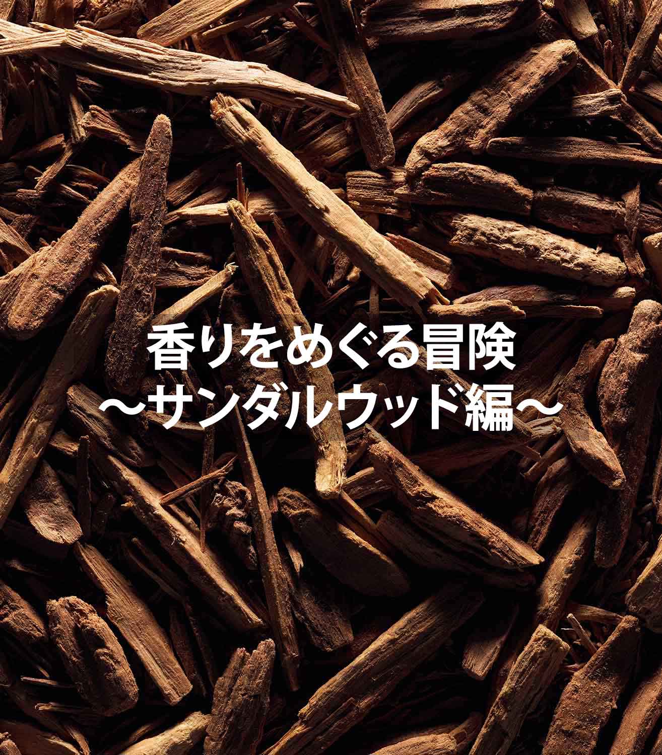 香りをめぐる冒険〜サンダルウッド編〜