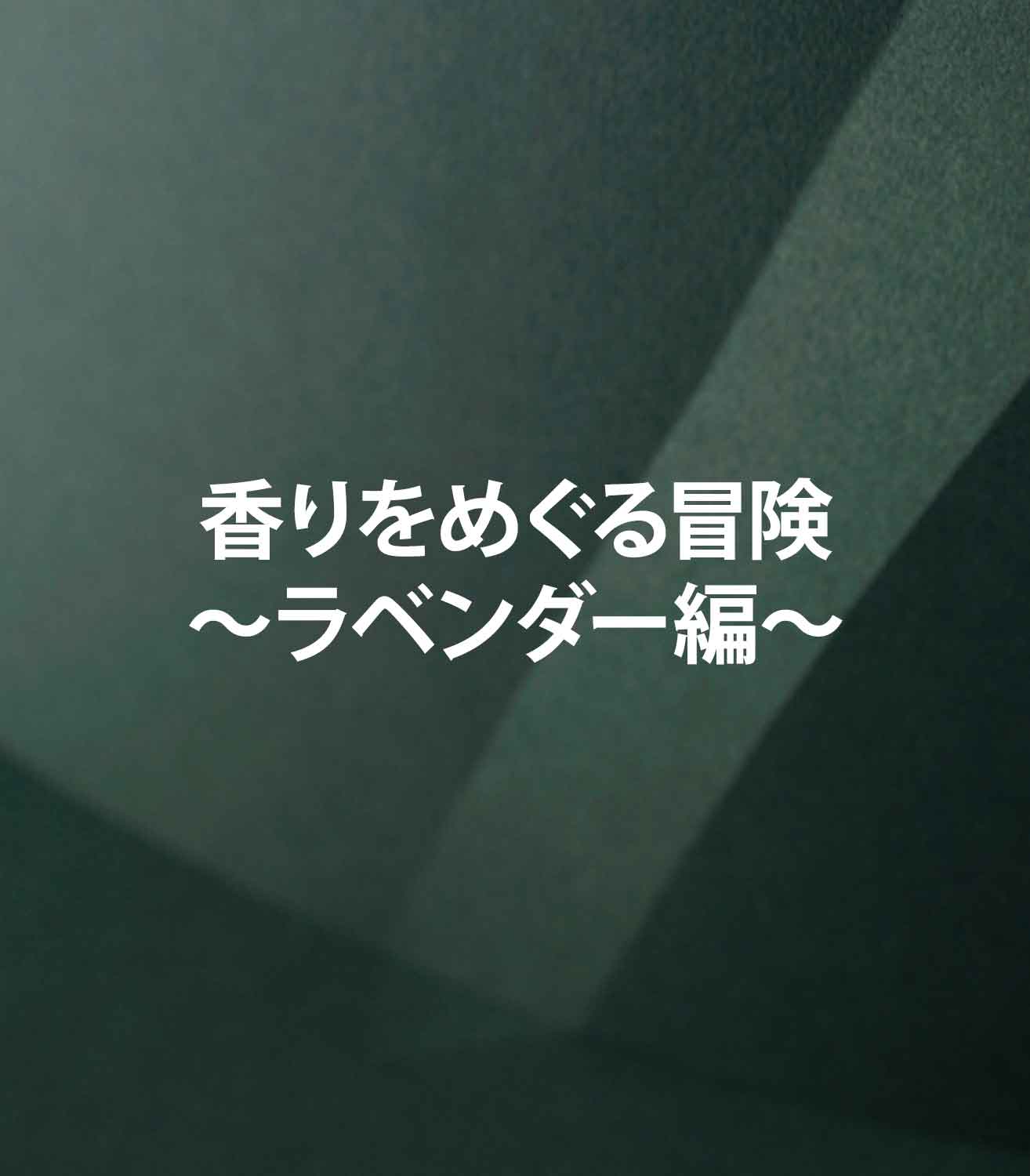 マリージャンヌの香水ブログ　ラベンダーの香りの特徴