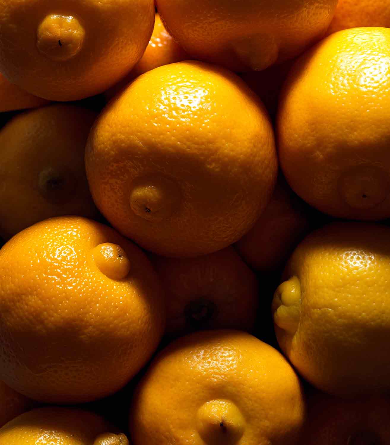 マリージャンヌ香水が使われている天然原料：ベルガモット