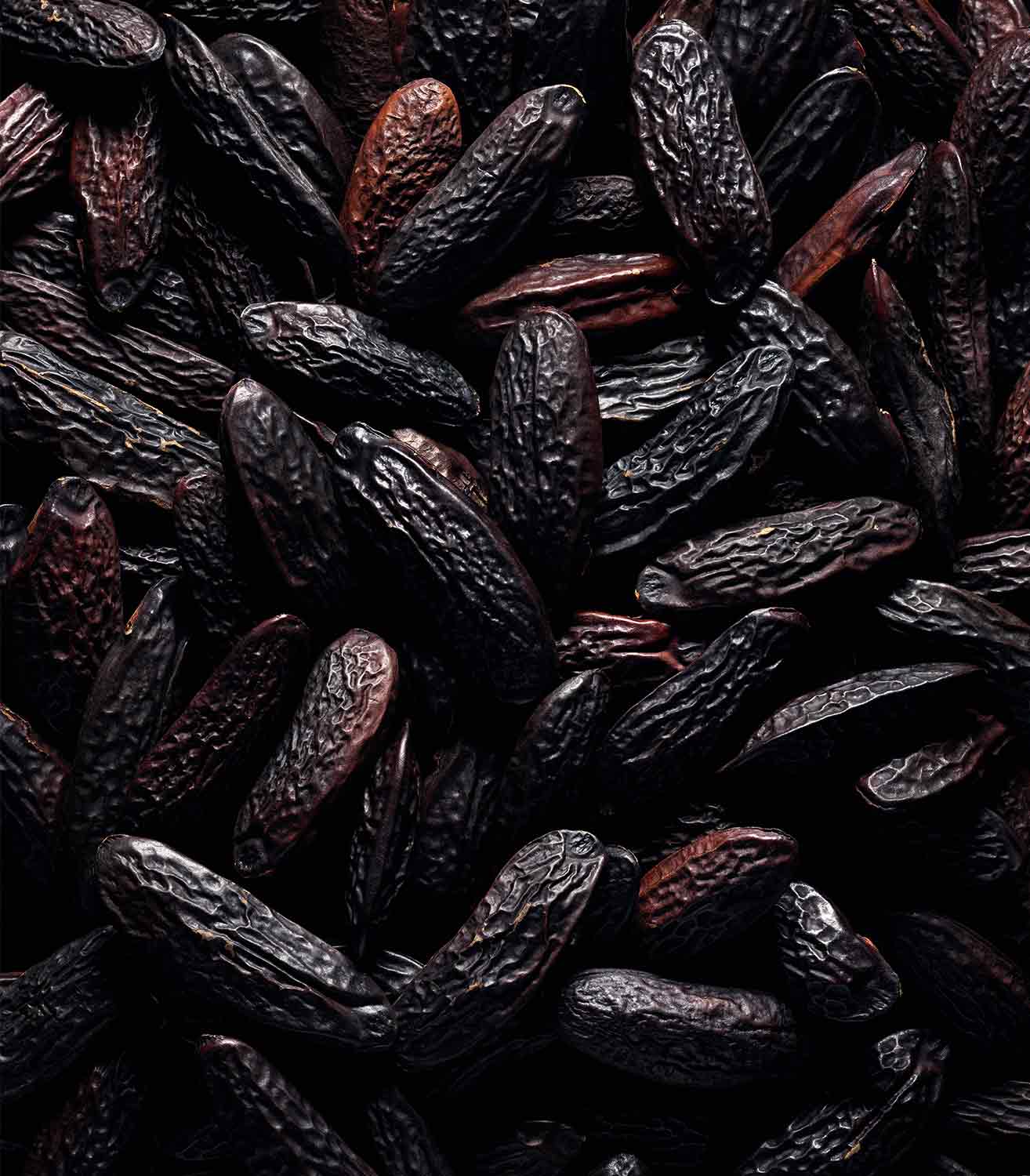  マリージャンヌ香水が使われている天然原料：トンカ豆