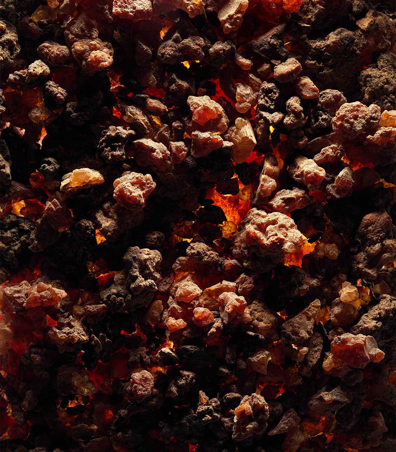 マリージャンヌ香水が使われている天然原料：ミルラ