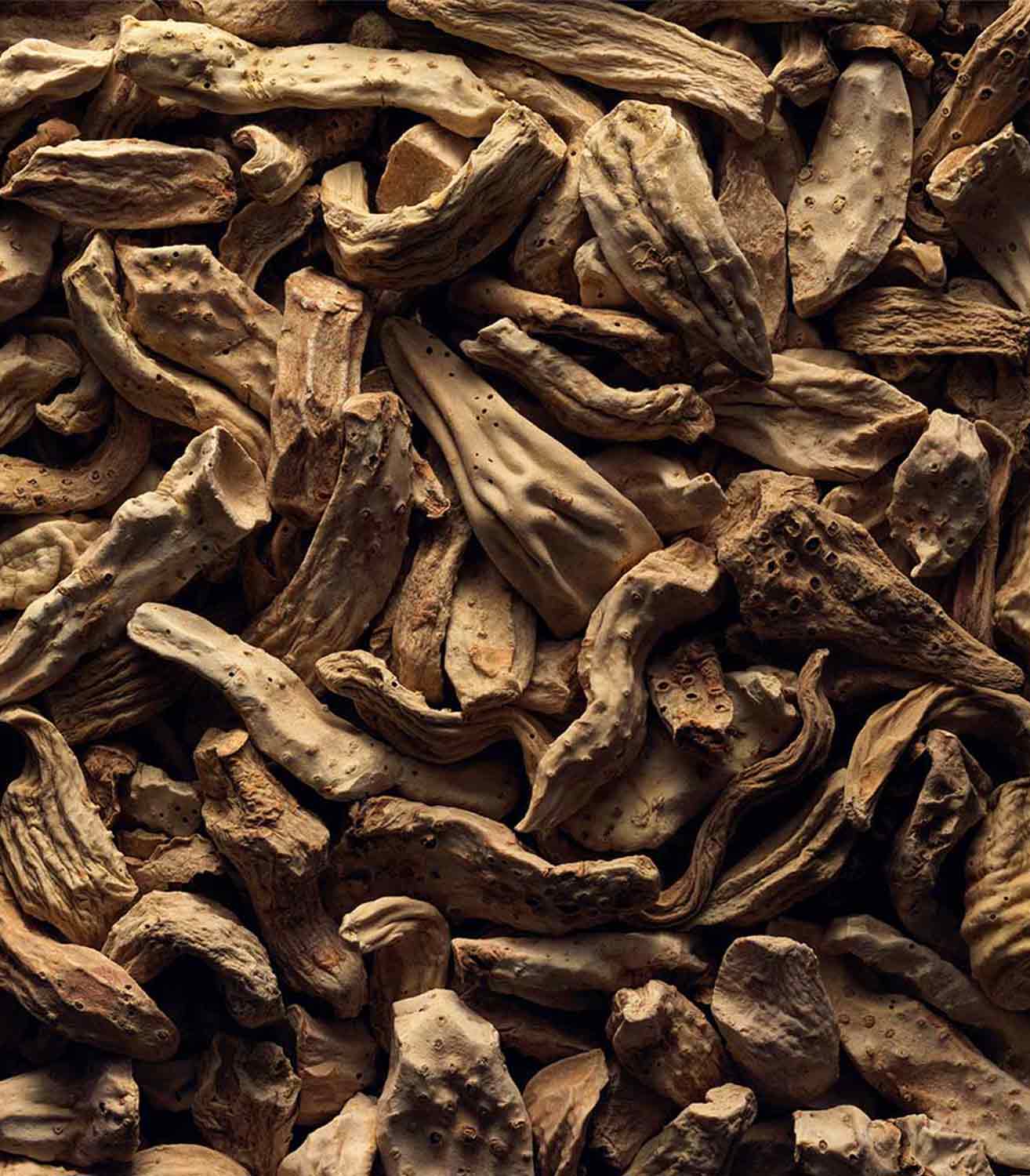  マリージャンヌ香水が使われている天然原料：アイリス