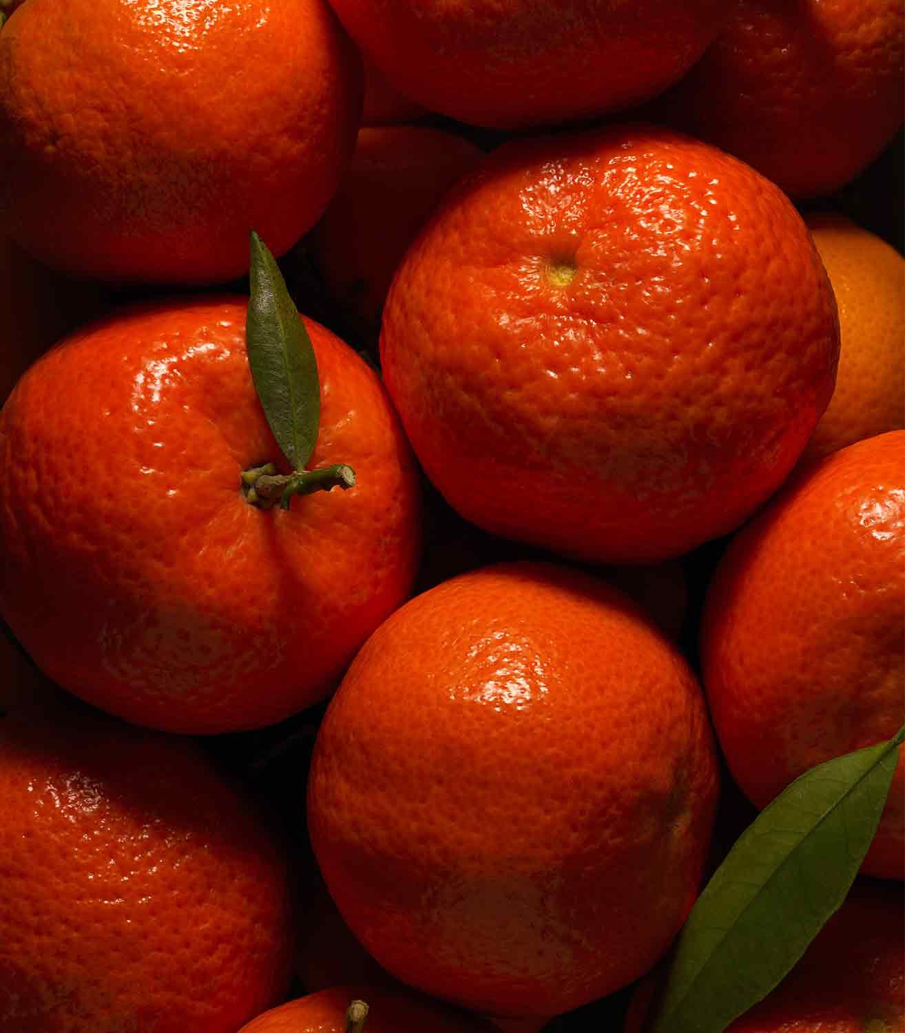 マリージャンヌ香水が使われている天然原料：マンダリン