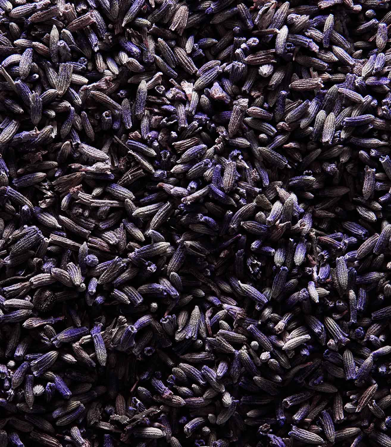 マリージャンヌ香水が使われている天然原料：ラベンダー