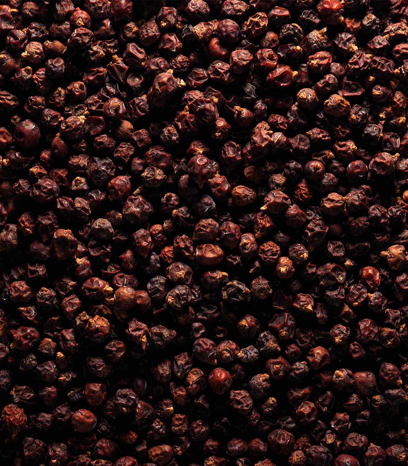 マリージャンヌ香水が使われている天然原料：ジュニパーベリー