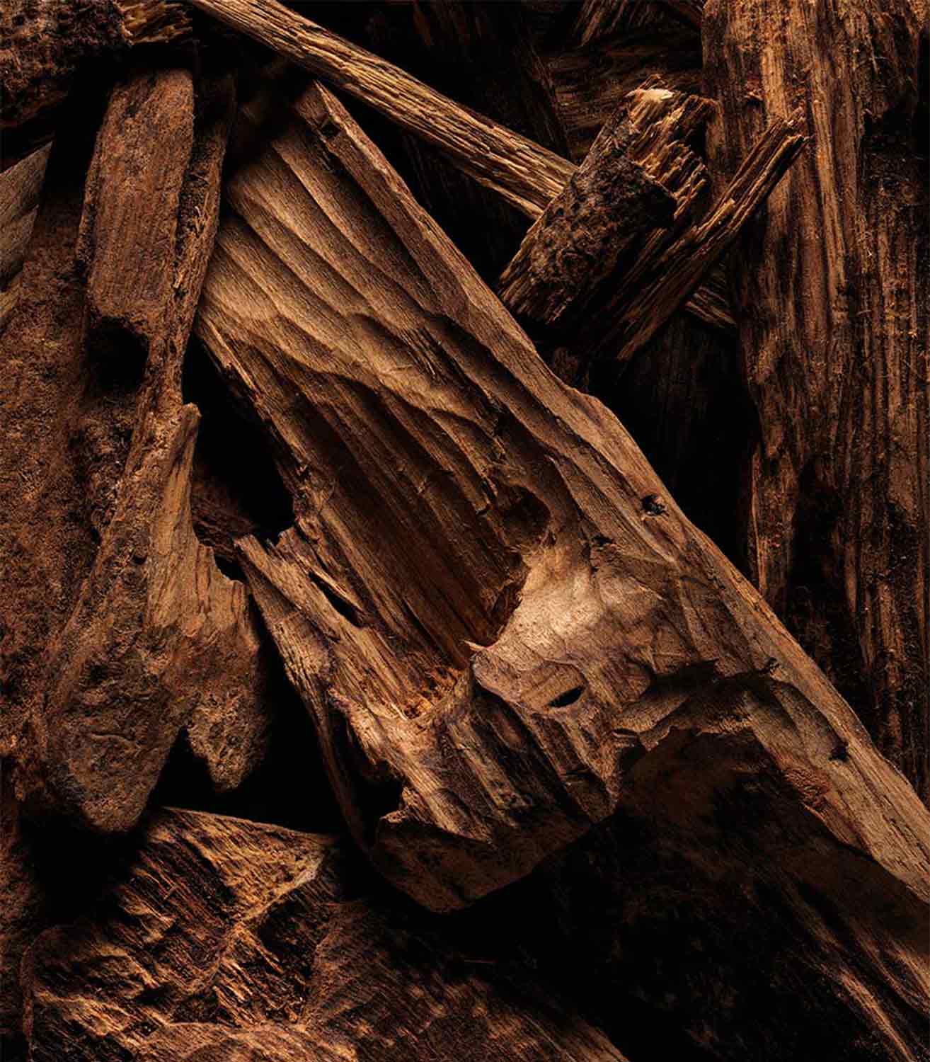 マリージャンヌ香水が使われている天然原料：ウード