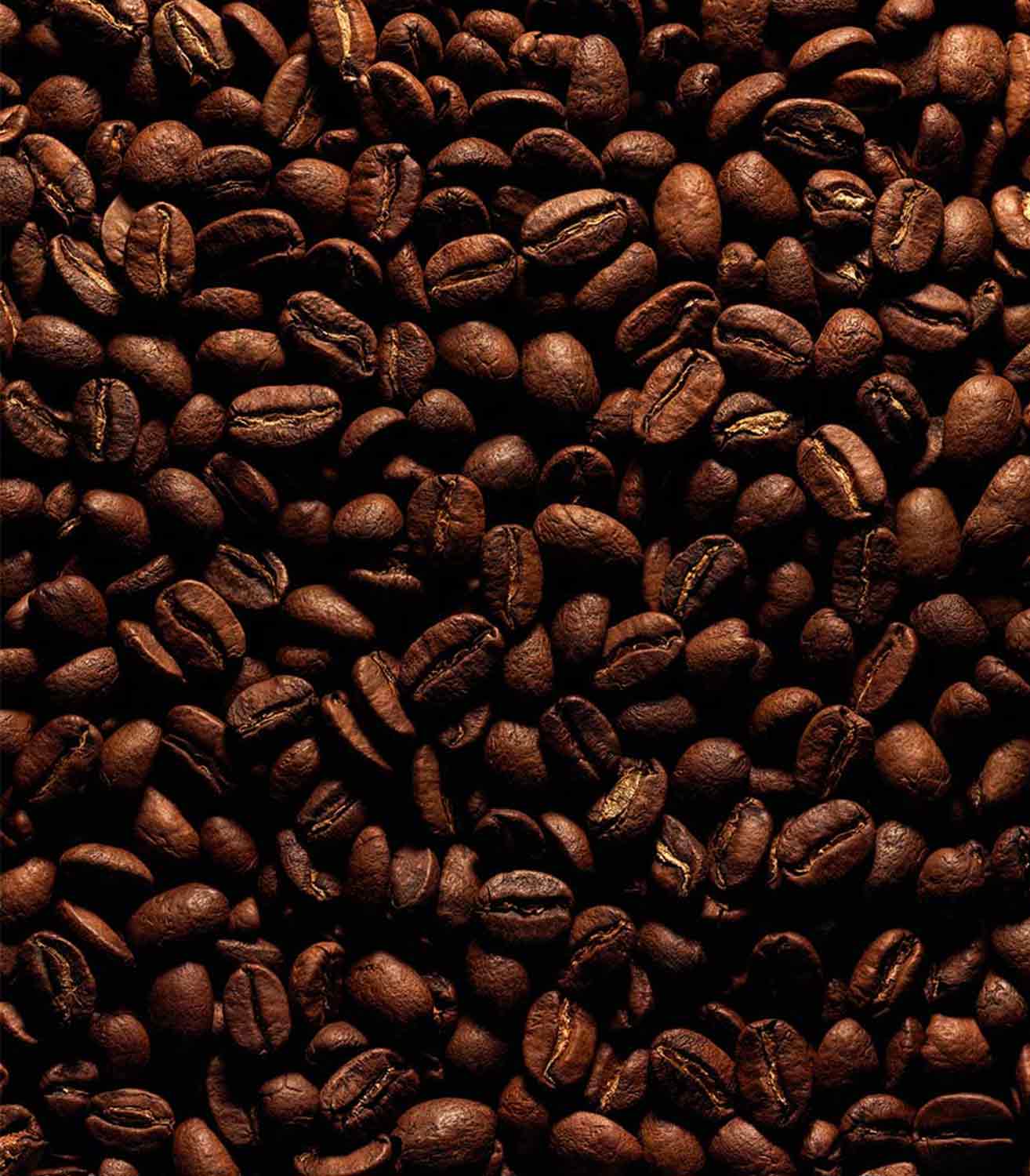 マリージャンヌ香水が使われている天然原料：コーヒー