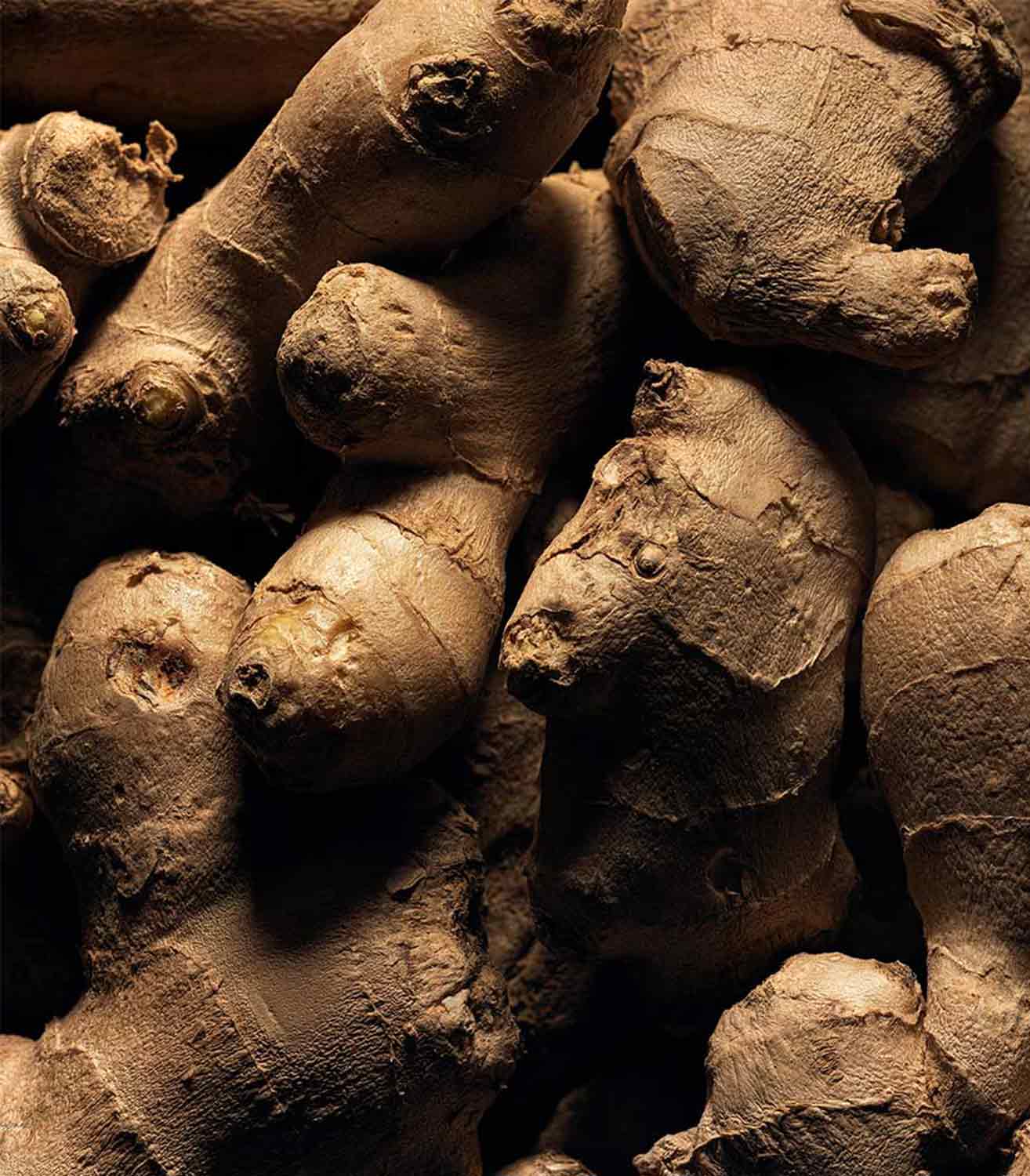 マリージャンヌ香水が使われている天然原料：ジンジャー