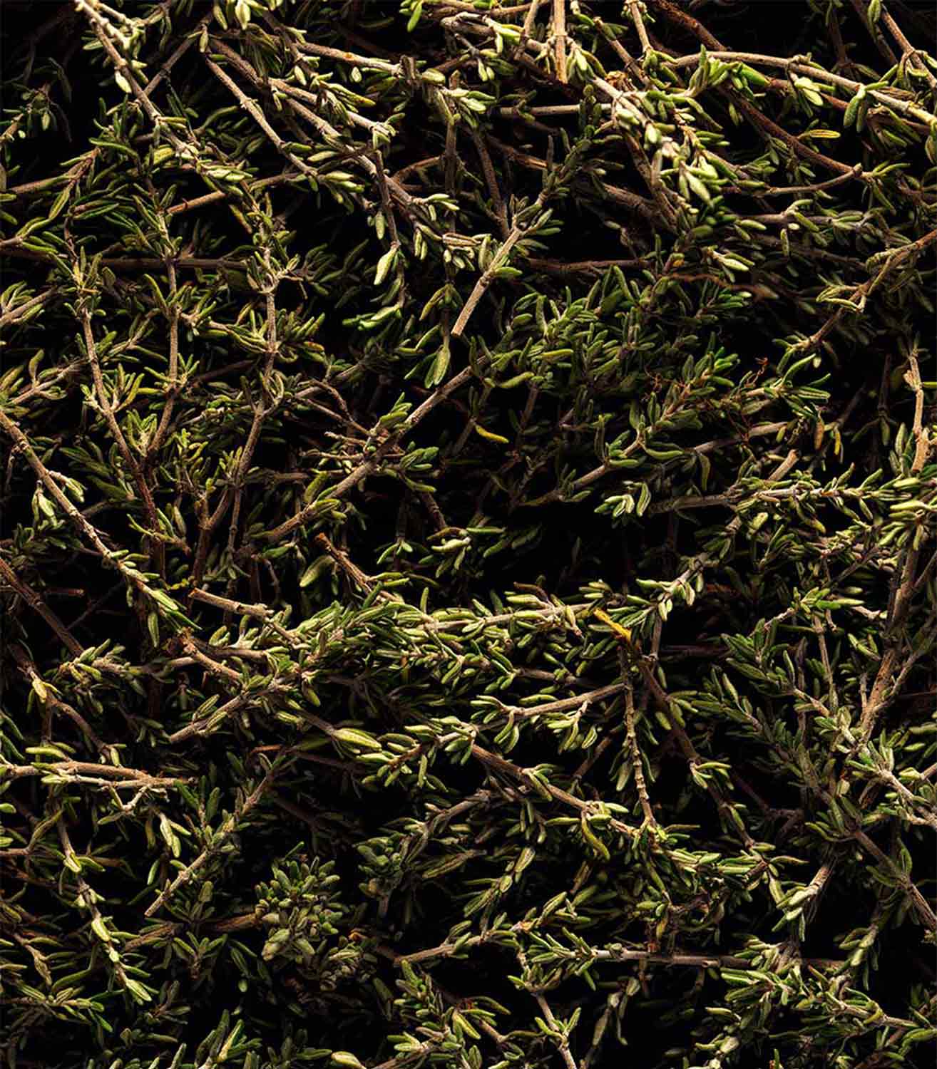 マリージャンヌ香水が使われている天然原料：タイム