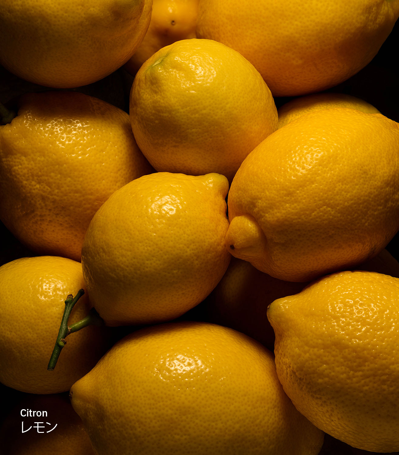 MARIEJEANNEベチバー サンタルのトップノート：レモン