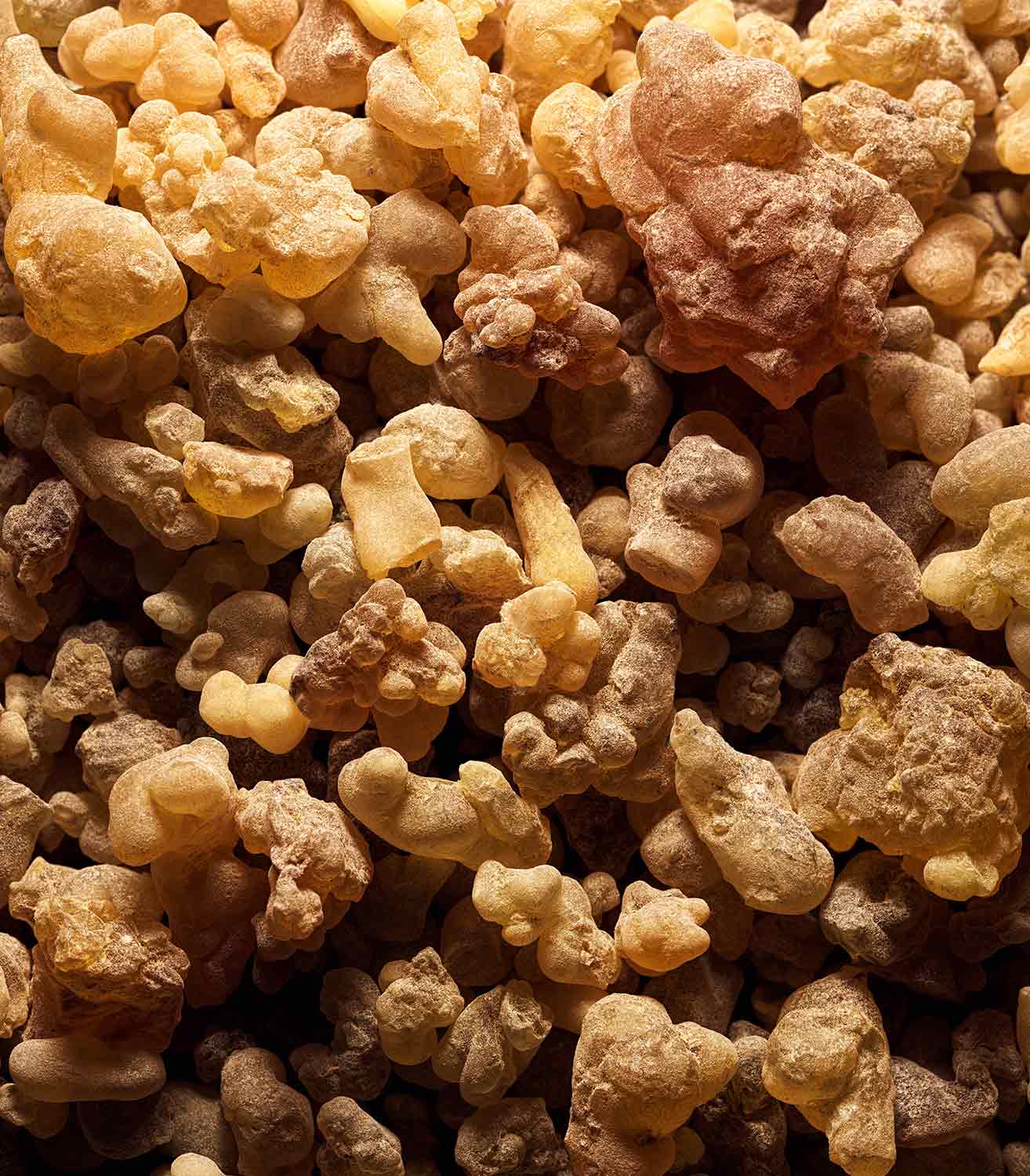 マリージャンヌ香水が使われている天然原料：フランキンセンス